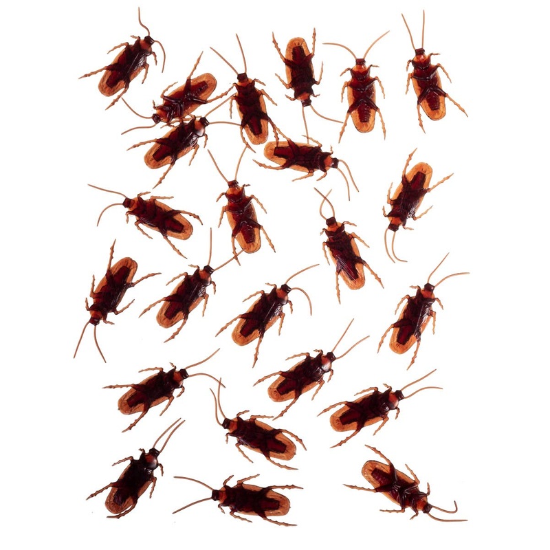 24 Pack of Realistic Cockroaches Halloween Decoration