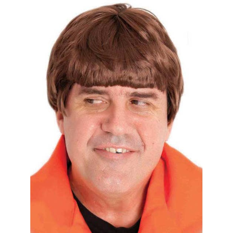 Dumb And Dumber Mens Short Brown Costume Wig