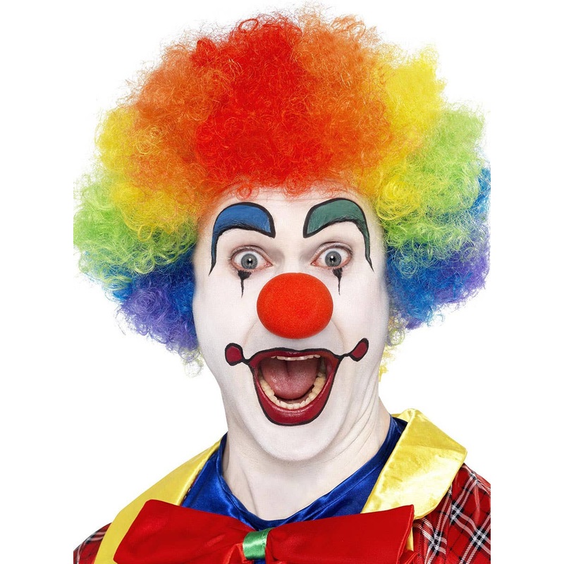 Crazy Clown Rainbow Afro Mens Costume Wig