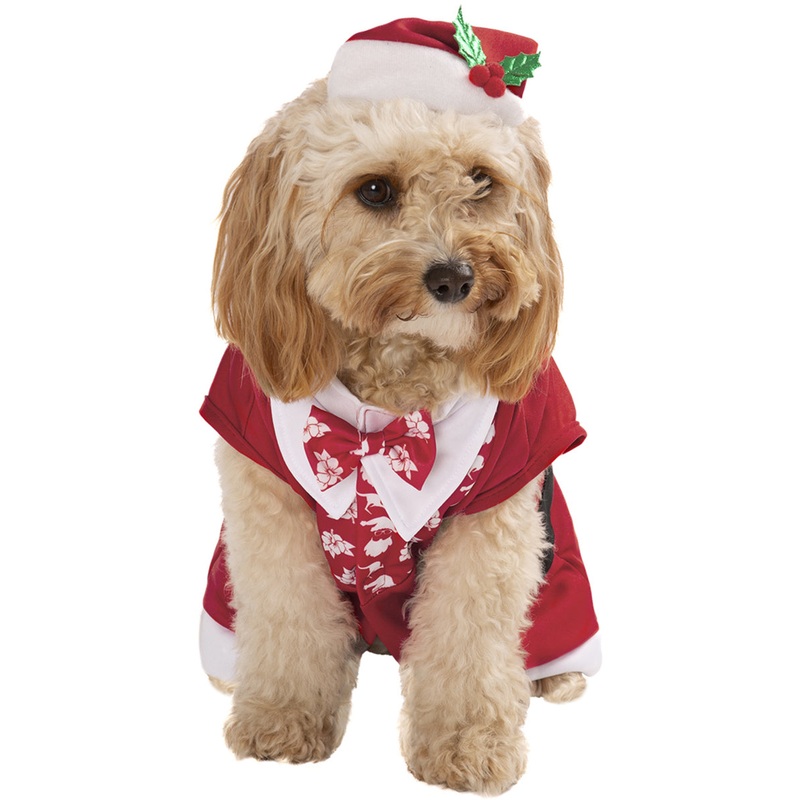 Aussie Christmas Dog Santa Costume One Size