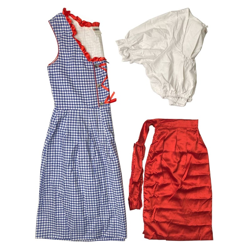 Helga Womens Oktoberfest Costume – Size Large