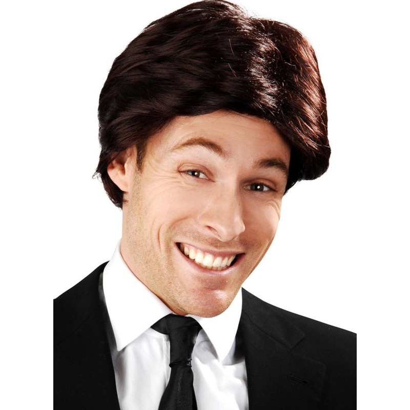 Anchorman Mens 70s Short Brown Costume Wig