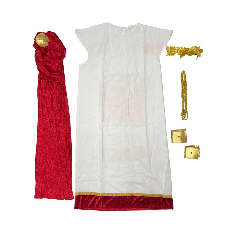 Marcus Brutus Mens Roman Costume  Plus Size