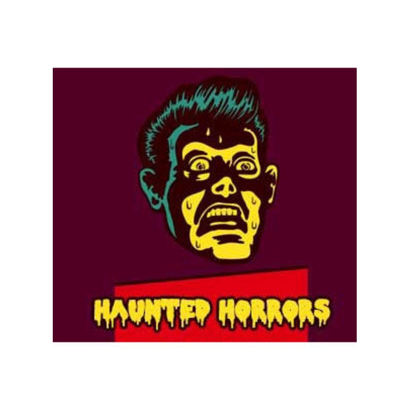 Haunted Horrors Boxed Murder Mystery Game