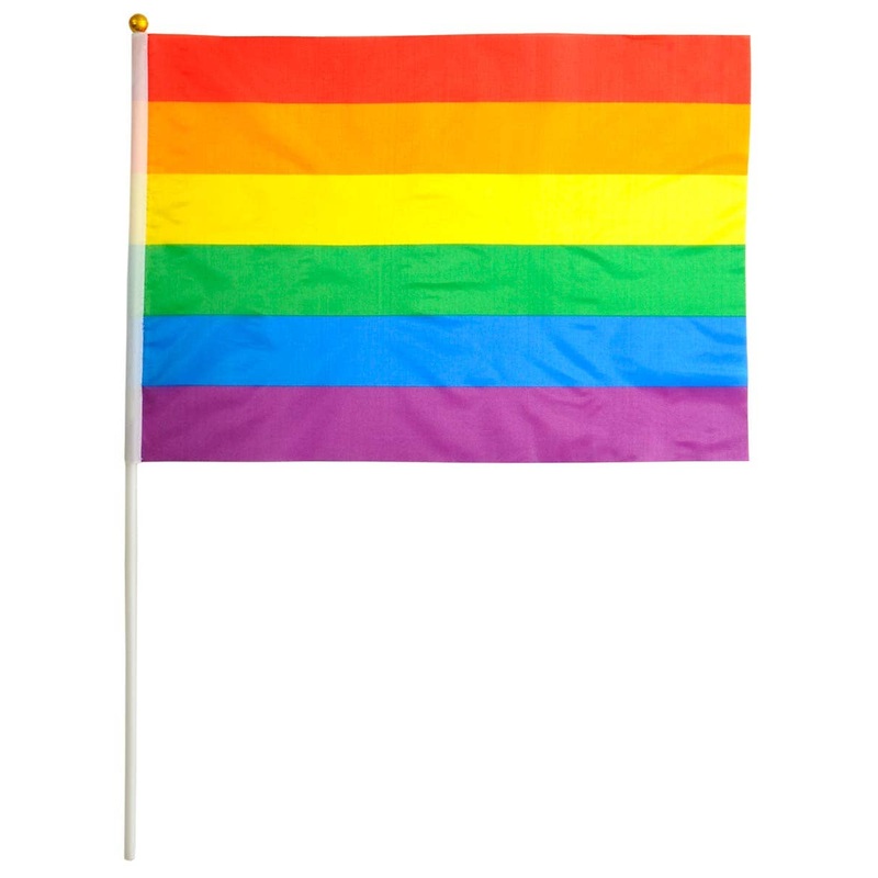 30cm x 45cm Mardi Gras Rainbow Flag on Pole