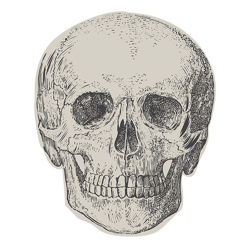 Creepy Chic Skulls 16 Pack 20cm Paper Napkins